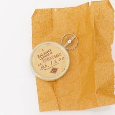 AS A Schilds 1200, 1201, 1252 INCA Balance Complete Watch Part Bestfit 721/616