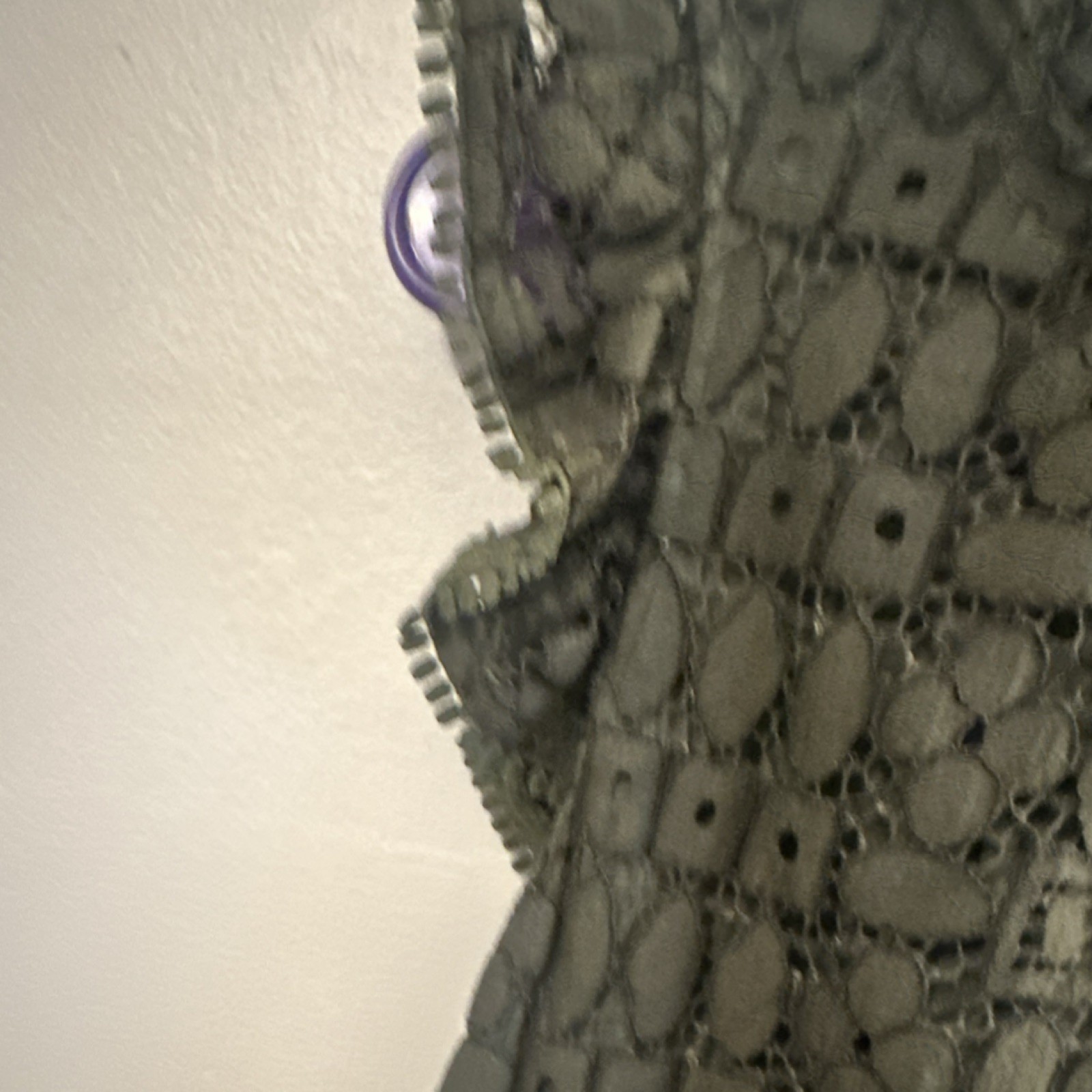 Picture 4 of 8