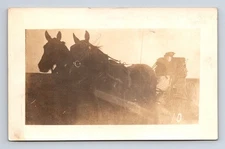 RPPC Women Riding in Horse Drawn Buggy Real Photo Postcard