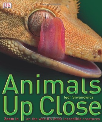 Animals Up Close: Zoom in on t - VERY GOOD