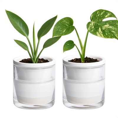 SelfWatering Planters for Indoor Plants  Set of 2 White Terracotta Pots