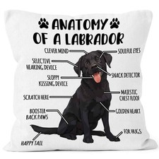 Funny Black Lab Dog Anatomy Throw Pillow Cover 18x18, Labrador Decor Decorati...