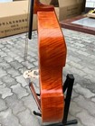 Foto 6 di 12