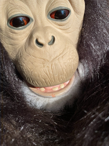 Fur Real Friends Cuddle Chimp & Banana Bottle Interactive Hasbro Tiger Electric - Picture 9 of 24