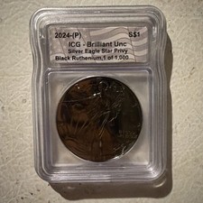 2024-P Silver Eagle Star Privy ASE Brilliant UNC Black Ruthenium 1 of 1,000