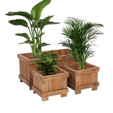 ÜBERTÖPFE SET "MALVA" | 80/35 cm, 3-teilig | Holz Pflanzkübel, Blumenkasten     