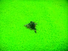 GENUINE CANON SX60 HS SCREW SET PART FOR REPAIR