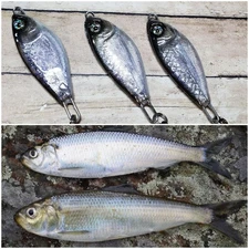 EPOXY FISHING JIGGING CASTING TROLLING SPOON LURES  3/8oz SHAD (3 PK)