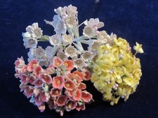 Vintage Forget Me Not Flower Lot Collection White Pink Yellow w/Velvet H5476
