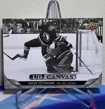 2024-25 Upper Deck Series 2 Hockey FABIAN ZETTERLUND #C129 CANVAS BLACK WHITE SP