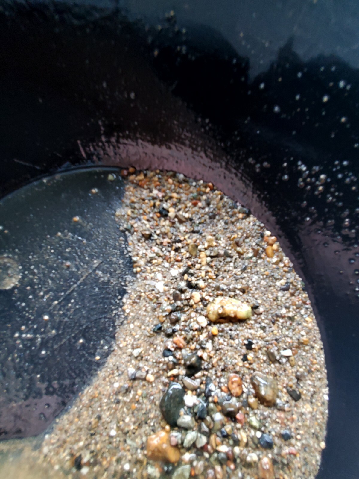 Gold Panning Pay dirt Dredge Concentrates GUARANTEED GOLD 10 Pounds