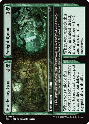 Moldering Gym // Weight Room - DSK - 190 NM/LP