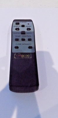 Biflame Technology Elektrofeuer Fernbedienung getestet original