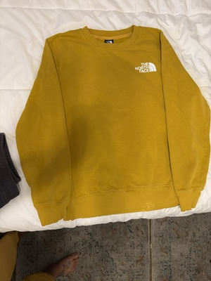 #ad North Face Hoody $16.99
