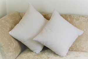 cushion inserts 55x55