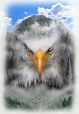 30'' X 44'' Panel Bald Eagle Mountains Call of the Wild Cotton Fabric D374.81