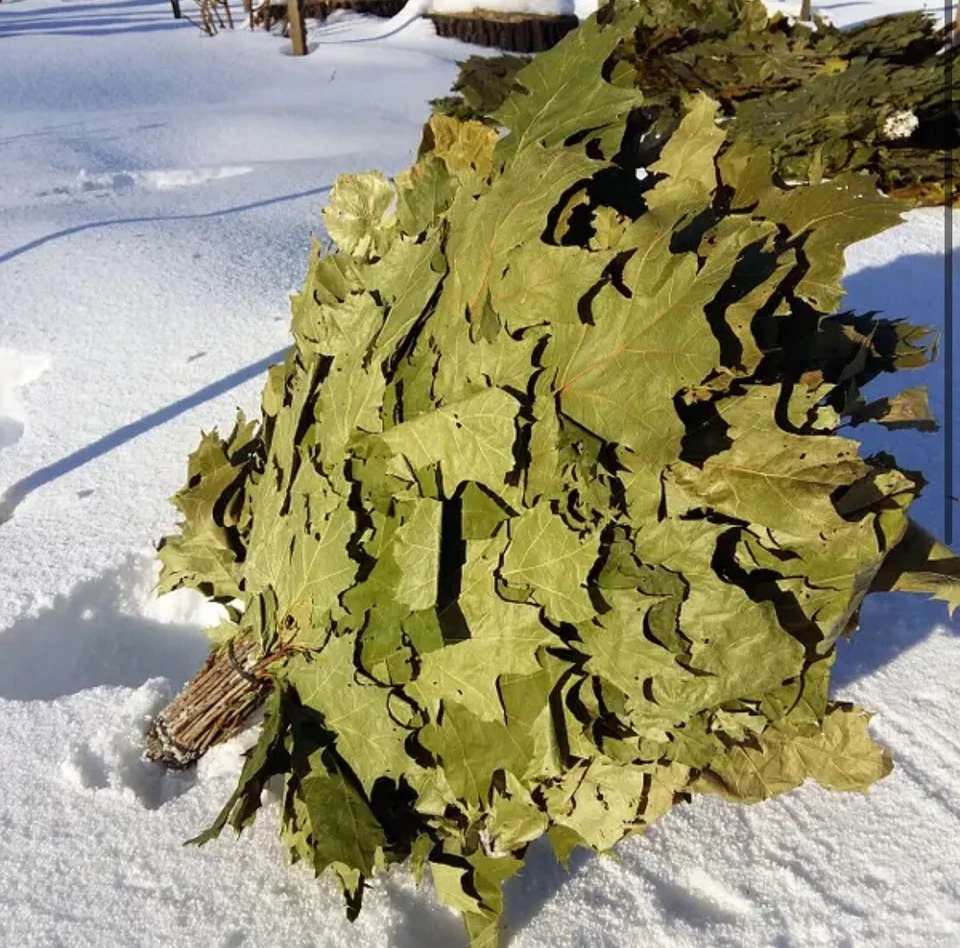 24 OAK whisks sauna banya venik brooms NEW SEASON 2025 FREE SHIPING - Image 3 of 4