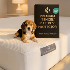 Queen Size Premium Mattress Protector 100 Waterproof Tencel Cover Cooling