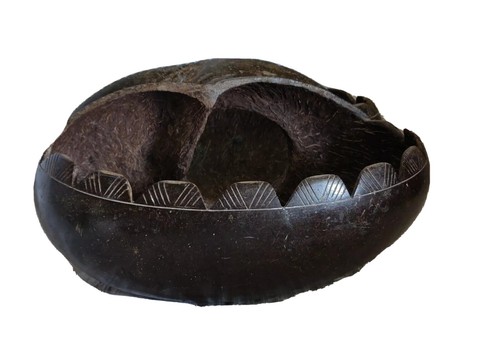 Antique Coco De Mer Seychelles Carved Hollowed Out Polished Basket - Picture 2 of 12