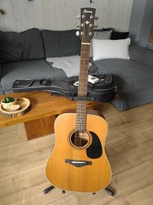 Ibanez Acoustic Guitars AW250-LG