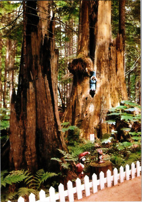 Vtg Postcard, Enchanted Forest,Friendly Elvs & Little Squirrel, Revelstoke B.C.