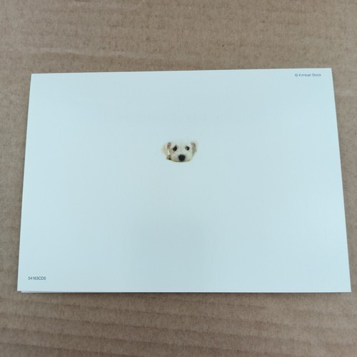 Happy Birthday Greeting Card Cute Puppy Dog Resting Head Matching Envelope - 第 6/9 張圖片