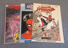 3 Oversized AMAZING SPIDER-MAN GNs! Hooky/Wrightson! +Parallel Lives+Fear Itself