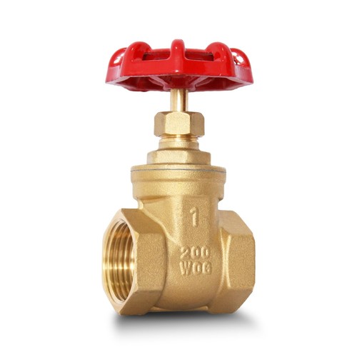 1 Inch NPT Heavy Duty Brass Gate Valve Female x Female Thread DN25 Fitting