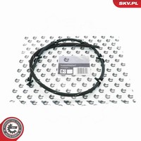 Esen SKV Schlauch Leckkraftstoff 54SKV324 FüR BMW 5Er Touring F11 Turismo F07 X3