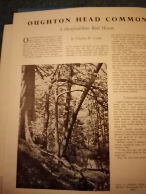 Sa78 Ephemera 1955 Artikel Oughton Head Common Charles Cooke 