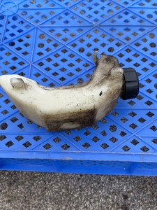 ryobi petrol strimmer