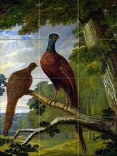 A PHEASANT COCK AND HEN Tile Mural Kitchen Bathroom Wall Backsplash Art 12.75x17