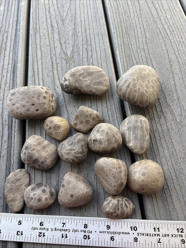 16 Unpolished Petoskey Stones 2.06 Pounds