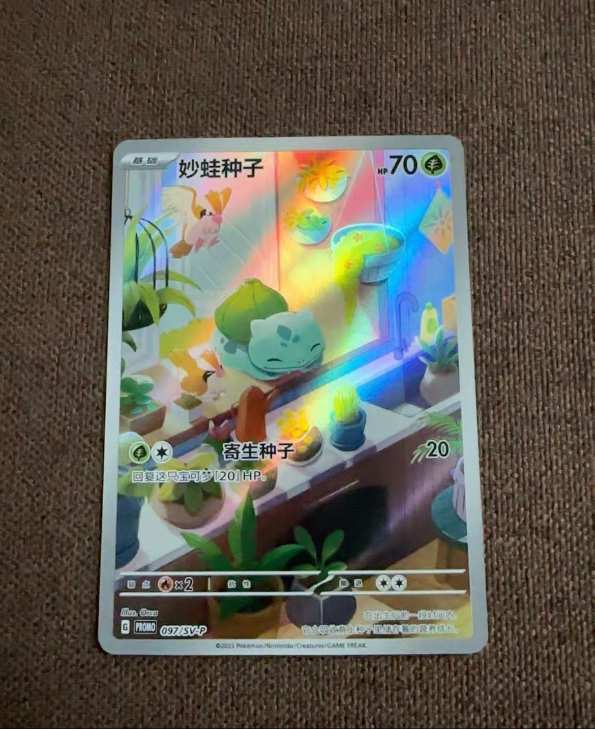 IN STOCK Pokemon Chinese TCG PR-ZLMW Bulbasaur SV-P-097/SV-P Promo Near Mint