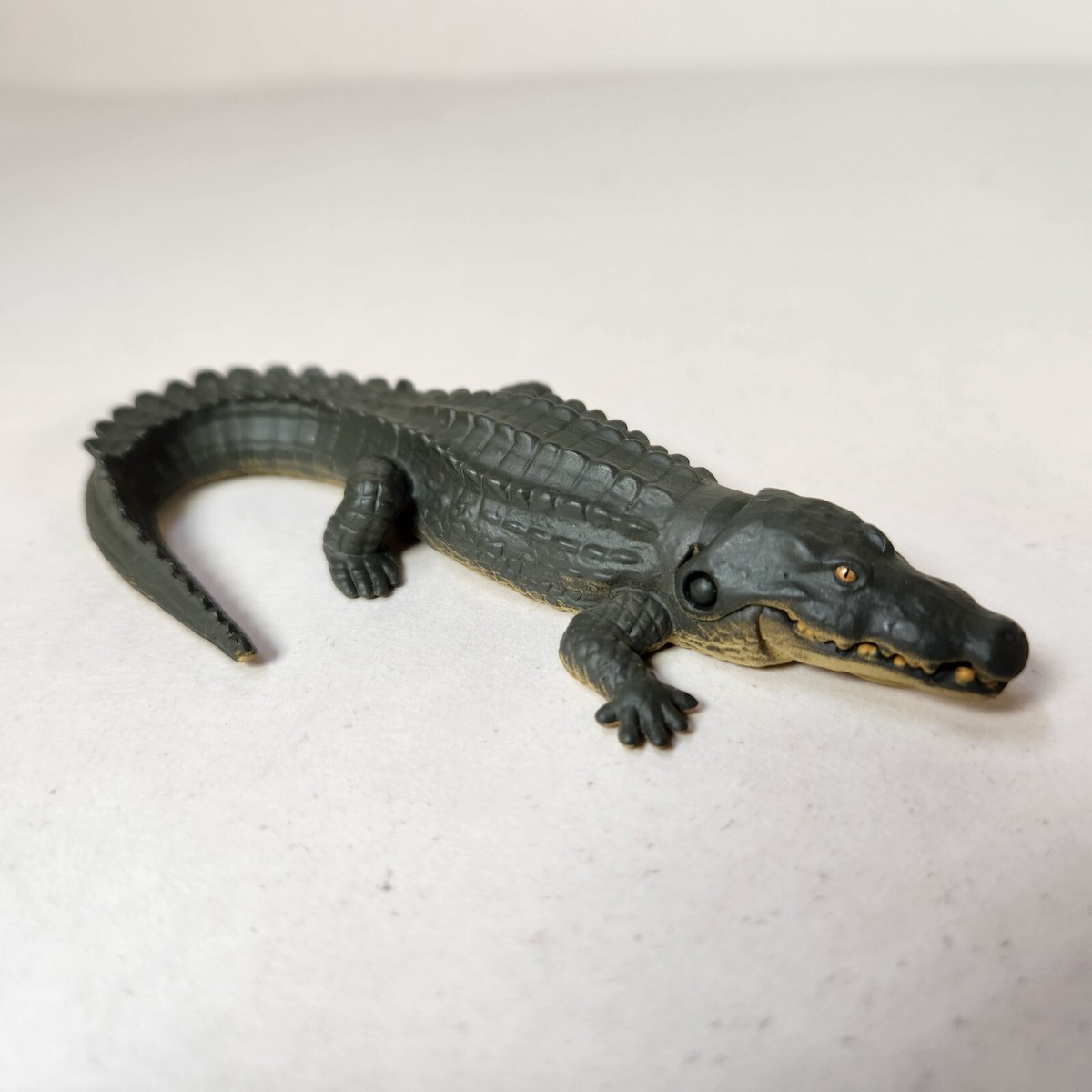 貴重！☆迫力サイス！45cm ナイルワニ （Nile crocodile） 頭骨