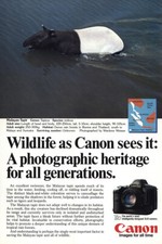 1986 Canon Camera: Malayan Tapir Vintage Print Ad