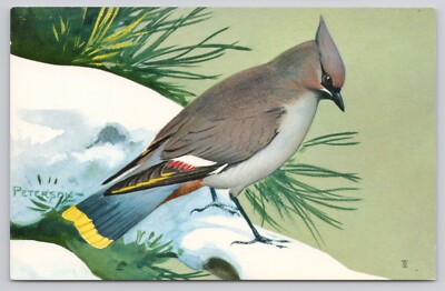 Bohemian Waxwing Bird Canadian West Canada Forests Peterson Artist Sign Postcard