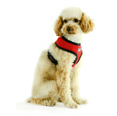xx small harness