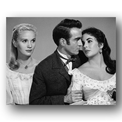 Elizabeth Taylor, Montgomery Clift, Eva Marie Saint Photo 8x10 Raintree County