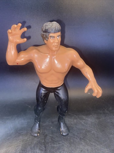 Ricky Dragon Steamboat Vintage 1986 WWF LJN Titan ...