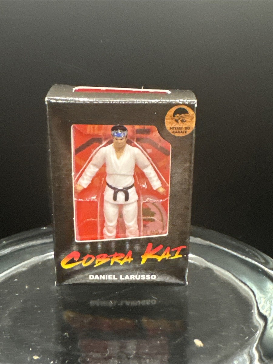 NEW Mini Brands NETFLIX Set Cobra Kai Daniel | eBay