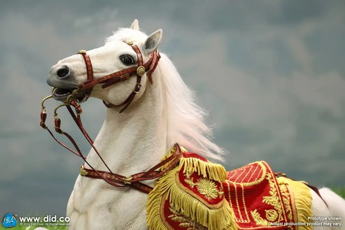 1/6 Scale Dragon Dreams DID Napoleonic French Napoleons Horse *ONLY* E60078 - Picture 12 of 14