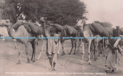 R696622 Nigeria. Erdnüsse. Erdmuttern zu einem Einkaufszentrum transportieren. Imper