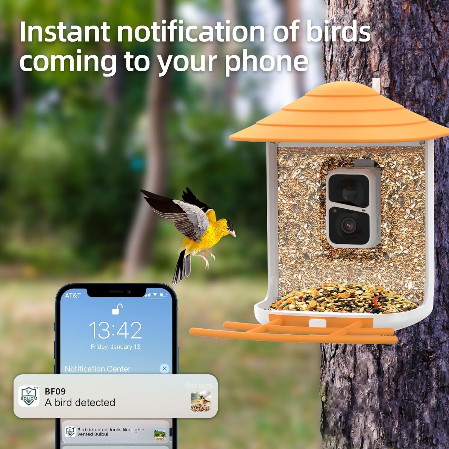 Smart Bird Feeder With Camera Solar Powered With AI Identify Species Night Visio