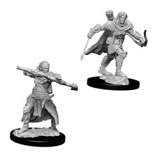 Pathfinder Battles Deep Cuts Unpainted Miniatures Character Pack 2 Count