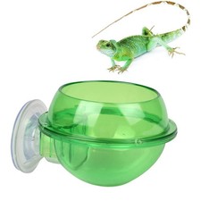 Reptile Feeder Bowls for Reptiles Lizard Food Gecko Tank Accessories