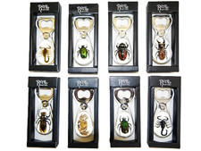 Image of Real Insect Bottle Opener Scorpion Beetle Hornet Crab Fridge Magnet