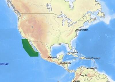 C-MAP NA-B701 NT C-Card Electronic Chart Map Mazatlan MX To San Diego CA