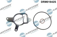Dr.Motor Automotive Dichtungssatz, Unterdruckpumpe DRM01842S
