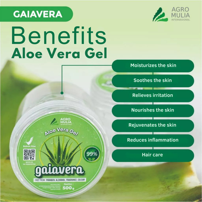 GAIAVERA Organic Aloe Vera Gel for Face & Hair Hydrating Moisturizer 200g/  500g | eBay